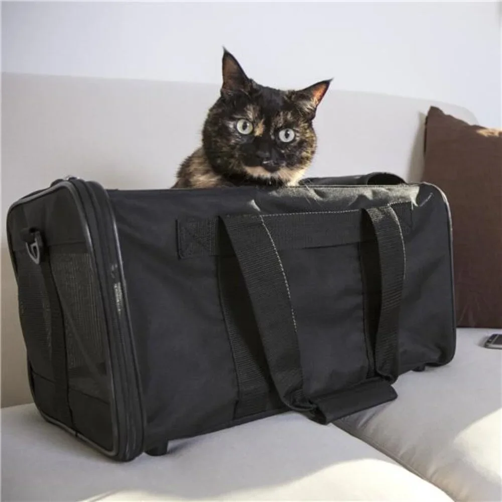 Easy Explorer Medium Guaranteed On-Board Travel Pet Carrier, Black